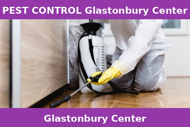 PEST CONTROL Glastonbury Center